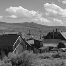 On Theodore Rothke and misinterpretation.