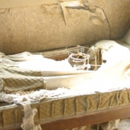 Alice Munro on Writing…