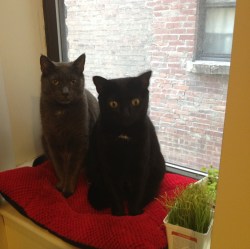 Where's that guy who feeds us at the same time everyday?!?