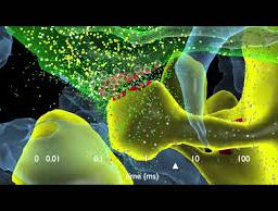 On the neuroscience of memory