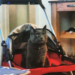 Max. 3/20/08 – 3/3/16. RIP.