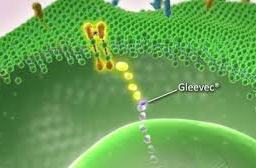 A few more thoughts on Precision Medicine