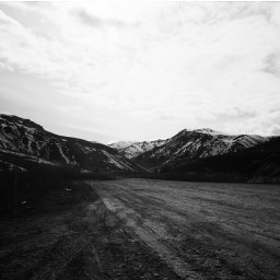 Steinbeck, Grapes of Wrath, Right Now